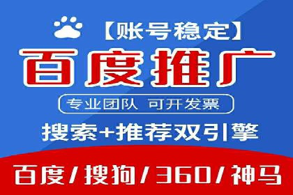 SEM推广实战：成功案例剖析
